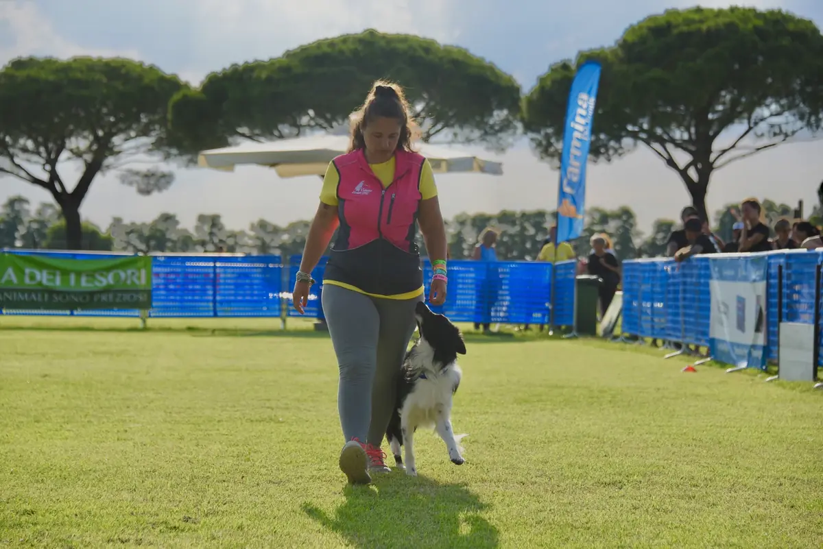Lavinia e il suo Border Collie nella condotta di Obedience