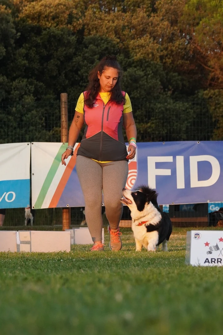 Lavinia e il suo Border Collie durante un esercizio di Obedience